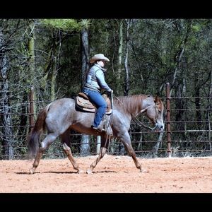 Meet your Posher, Heidi